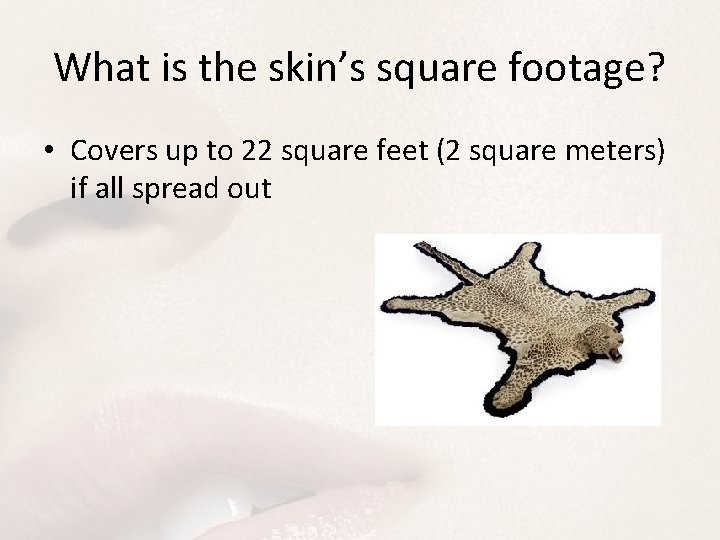 What is the skin’s square footage? • Covers up to 22 square feet (2