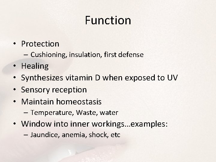 Function • Protection – Cushioning, insulation, first defense • • Healing Synthesizes vitamin D