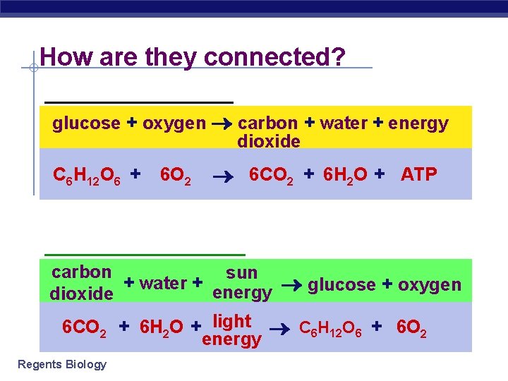 How are they connected? ________ glucose + oxygen carbon + water + energy dioxide
