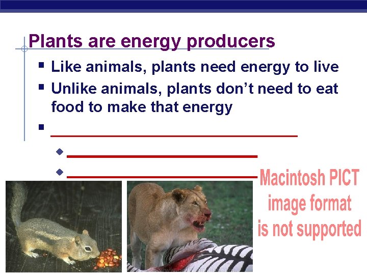 Plants are energy producers § Like animals, plants need energy to live § Unlike
