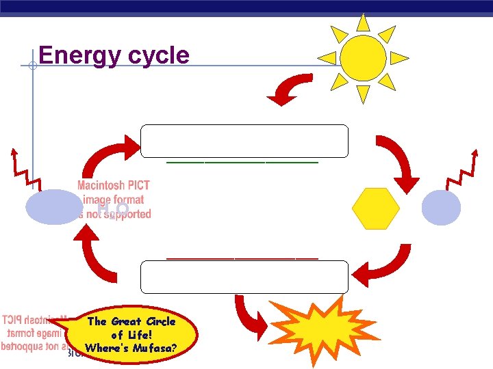 Energy cycle sun Cellular Respiration __________ CO 2 H 2 O __________ Cellular Respiration
