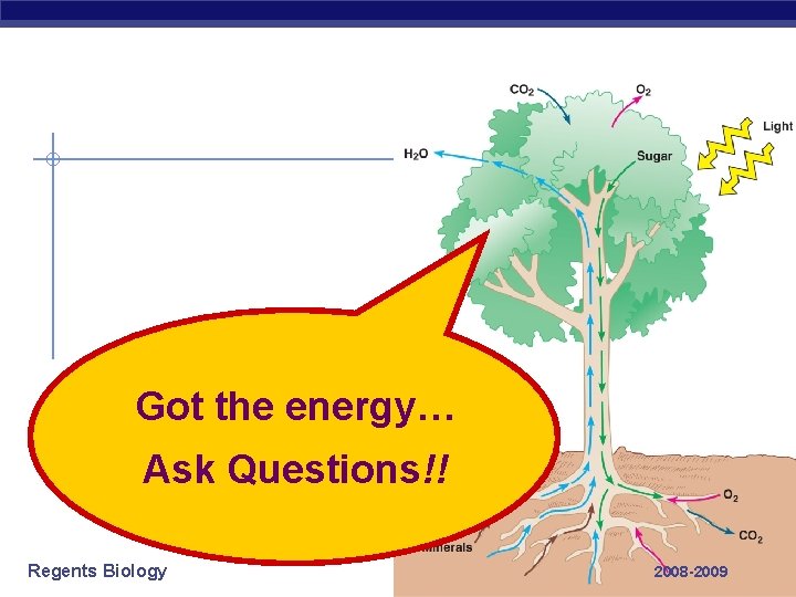 Got the energy… Ask Questions!! Regents Biology 2008 -2009 