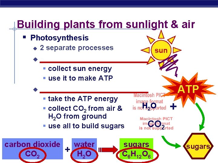 Building plants from sunlight & air § Photosynthesis u 2 separate processes u ____________