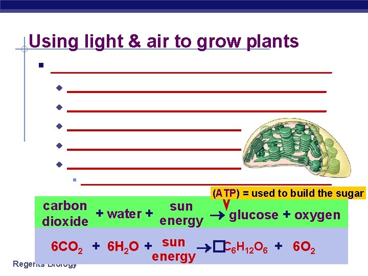 Using light & air to grow plants § ______________________________________ u ___________________ u ___________________ §
