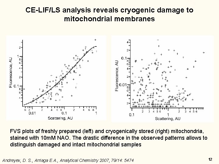 CE-LIF/LS analysis reveals cryogenic damage to mitochondrial membranes FVS plots of freshly prepared (left) CE-LIF/LS analysis reveals cryogenic damage to mitochondrial membranes FVS plots of freshly prepared (left)