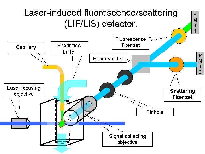 Laser-induced fluorescence/scattering (LIF/LIS) detector. Capillary Shear flow buffer P M T 1 Fluorescence filter Laser-induced fluorescence/scattering (LIF/LIS) detector. Capillary Shear flow buffer P M T 1 Fluorescence filter