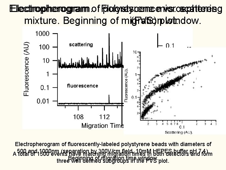 Electropherogram. of Fluorescence polystyrene microspheres vs. scattering mixture. Beginning of migration (FVS) plot. window. Electropherogram. of Fluorescence polystyrene microspheres vs. scattering mixture. Beginning of migration (FVS) plot. window.