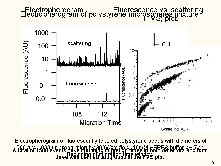 Electropherogram. Fluorescence vs. scattering Electropherogram of polystyrene microspheres mixture. (FVS) plot. scattering fluorescence Electropherogram Electropherogram. Fluorescence vs. scattering Electropherogram of polystyrene microspheres mixture. (FVS) plot. scattering fluorescence Electropherogram