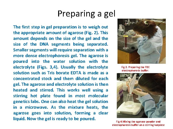 Preparing a gel The first step in gel preparation is to weigh out the