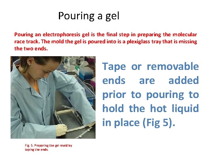 Pouring a gel Pouring an electrophoresis gel is the final step in preparing the