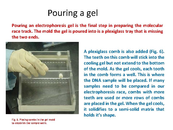 Pouring a gel Pouring an electrophoresis gel is the final step in preparing the