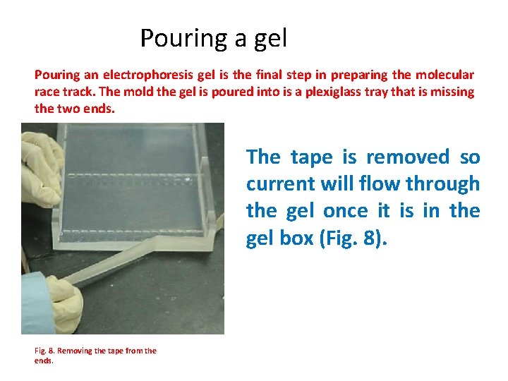 Pouring a gel Pouring an electrophoresis gel is the final step in preparing the