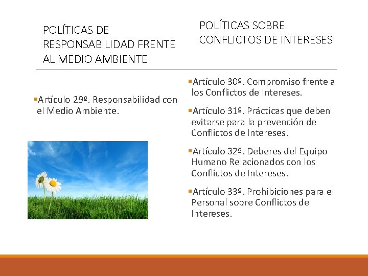 POLÍTICAS DE RESPONSABILIDAD FRENTE AL MEDIO AMBIENTE POLÍTICAS SOBRE CONFLICTOS DE INTERESES §Artículo 30º.