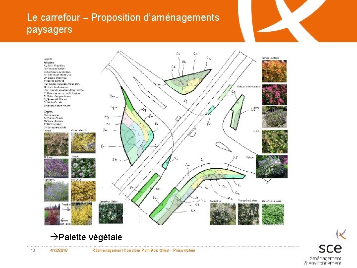 Le carrefour – Proposition d’aménagements paysagers Palette végétale 10 4/12/2019 Réaménagement Carrefour Petit Bois