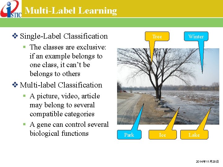 Multi-Label Learning v Single-Label Classification Tree Winter § The classes are exclusive: if an