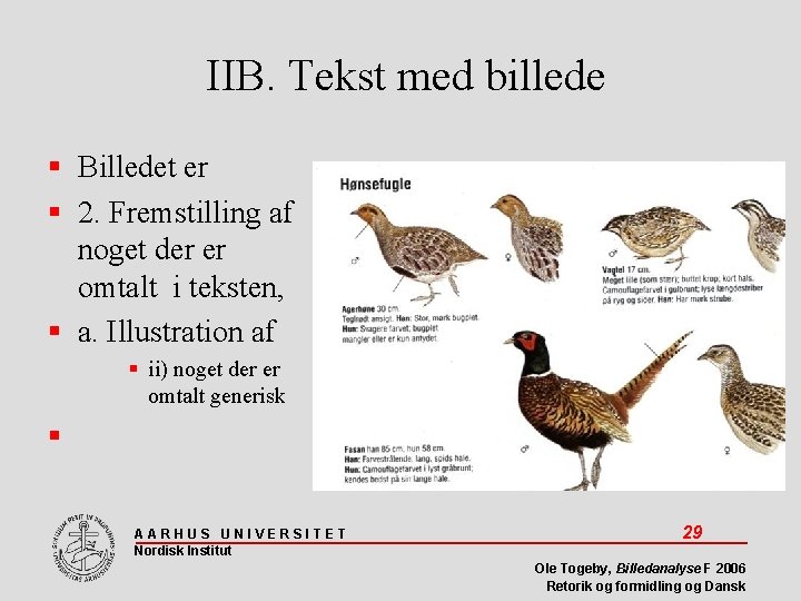 IIB. Tekst med billede Billedet er 2. Fremstilling af noget der er omtalt i