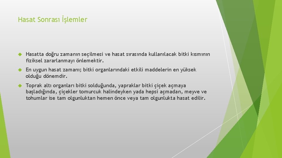 Hasat Sonrası İşlemler Hasatta doğru zamanın seçilmesi ve hasat sırasında kullanılacak bitki kısmının fiziksel