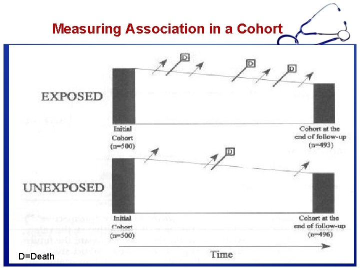 Measuring Association in a Cohort D=Death 