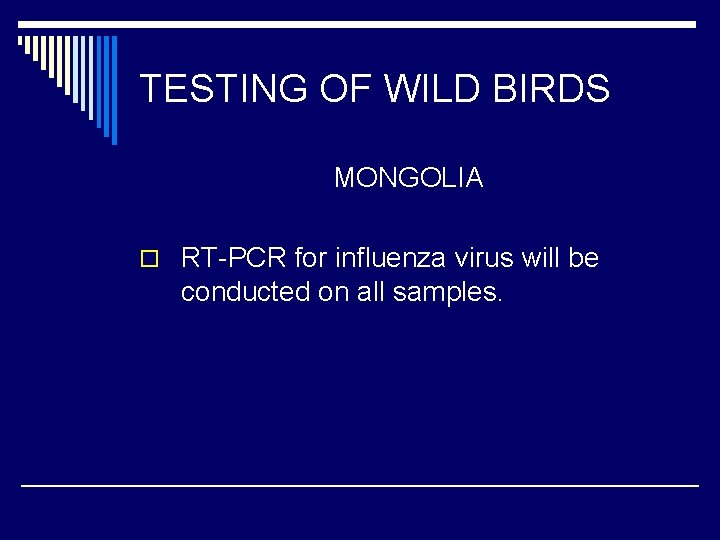 TESTING OF WILD BIRDS MONGOLIA o RT-PCR for influenza virus will be conducted on