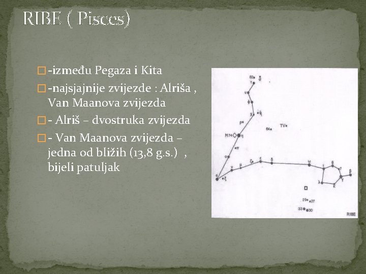 RIBE ( Pisces) � -između Pegaza i Kita � -najsjajnije zvijezde : Alriša ,