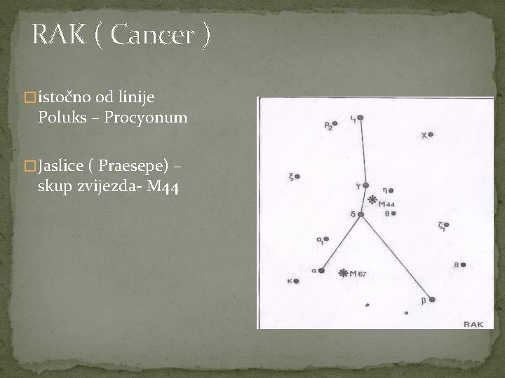 RAK ( Cancer ) � istočno od linije Poluks – Procyonum � Jaslice (