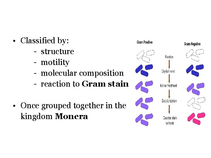  • Classified by: - structure - motility - molecular composition - reaction to