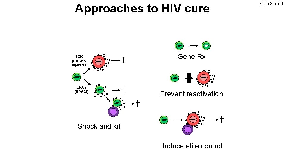 Slide 3 of 50 Approaches to HIV cure TCR pathway agonists LRAs (HDACi) Gene