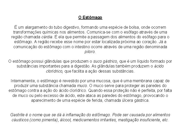 O Estômago É um alargamento do tubo digestivo, formando uma espécie de bolsa, onde