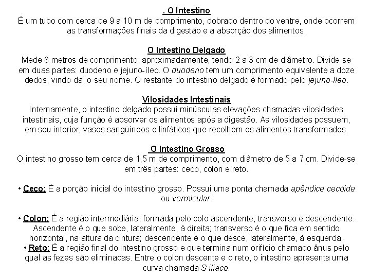 . O Intestino É um tubo com cerca de 9 a 10 m de