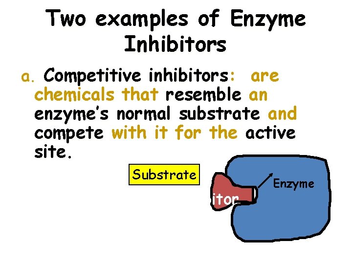 Two examples of Enzyme Inhibitors a. Competitive inhibitors: are chemicals that resemble an enzyme’s