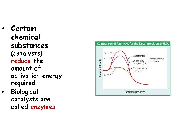  • Certain chemical substances • (catalysts) reduce the amount of activation energy required