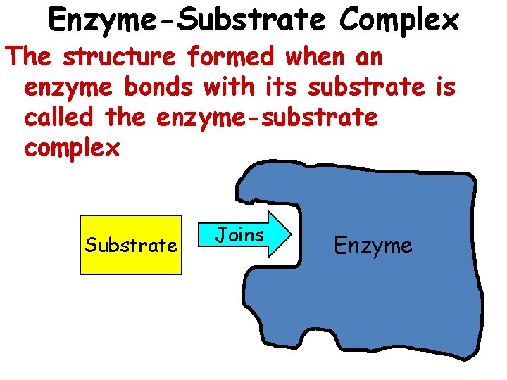 Enzyme-Substrate Complex The structure formed when an enzyme bonds with its substrate is called