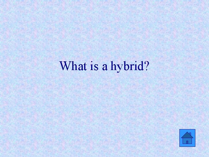 What is a hybrid? 
