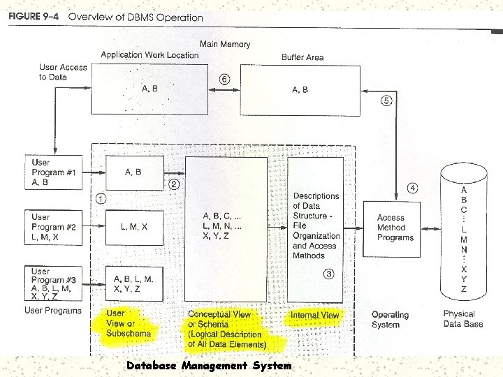 Database Management System 