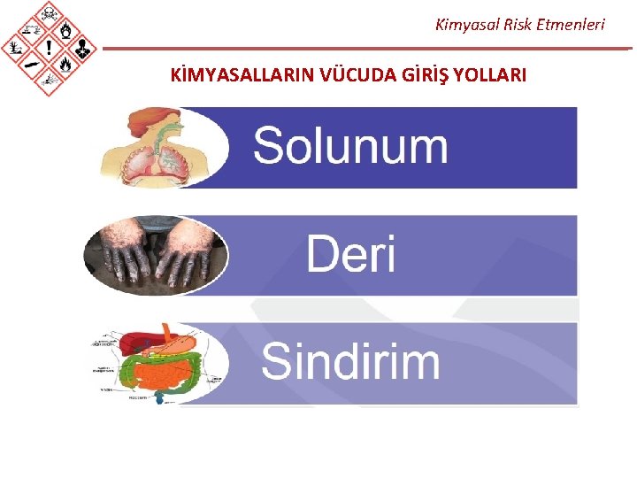 Kimyasal Risk Etmenleri KİMYASALLARIN VÜCUDA GİRİŞ YOLLARI 