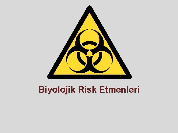 Biyolojik Risk Etmenleri Biyolojik Risk Etmenleri