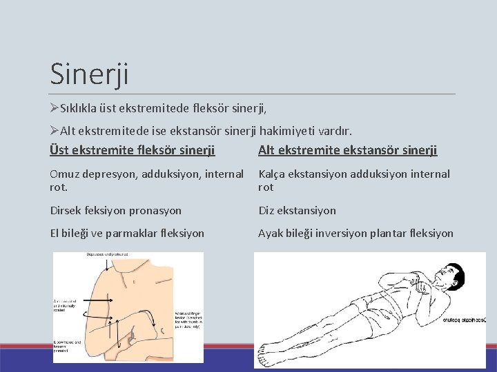 Sinerji ØSıklıkla üst ekstremitede fleksör sinerji, ØAlt ekstremitede ise ekstansör sinerji hakimiyeti vardır. Üst