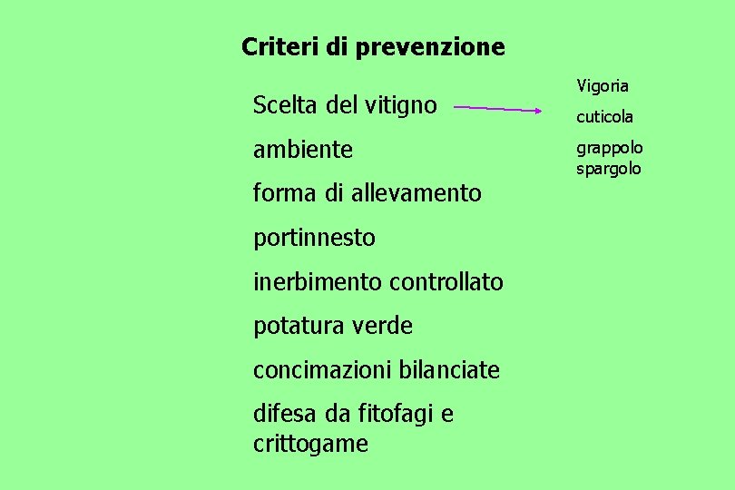 Criteri di prevenzione Scelta del vitigno ambiente forma di allevamento portinnesto inerbimento controllato potatura