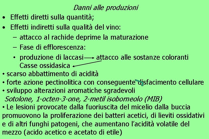 Danni alle produzioni • Effetti diretti sulla quantità; • Effetti indiretti sulla qualità del