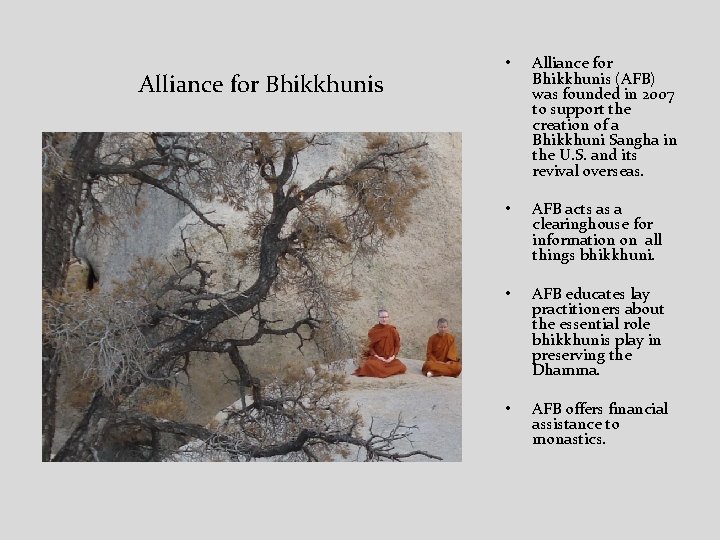 Alliance for Bhikkhunis • Alliance for Bhikkhunis (AFB) was founded in 2007 to support