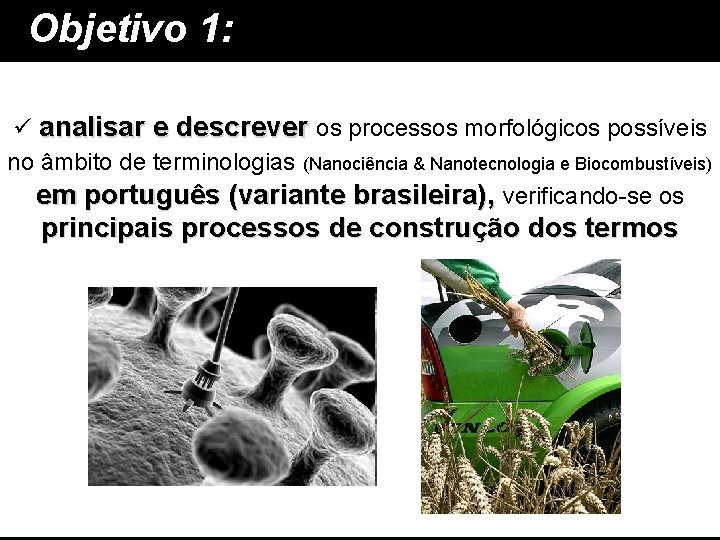 Objetivo 1: ü analisar e descrever os processos morfológicos possíveis no âmbito de terminologias