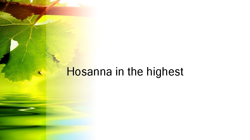Hosanna in the highest 
