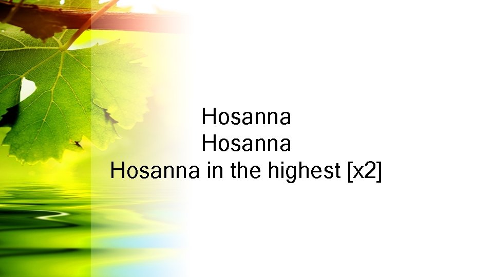 Hosanna in the highest [x 2] 