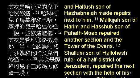 其次是哈沙尼的兒子 哈突修造。11 哈琳的 兒子瑪基雅和巴哈 • 摩押的兒子哈述修造 一段，並修造爐樓。12 其次是管理耶路撒冷 那一半、哈羅黑的兒 子沙龍和他的女兒們 修造。 … 20 其次是薩