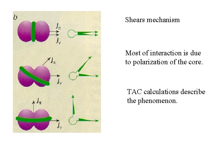 Shears mechanism Most of interaction is due to polarization of the core. TAC calculations