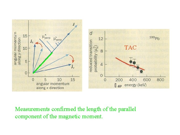 TAC Measurements confirmed the length of the parallel component of the magnetic moment. 
