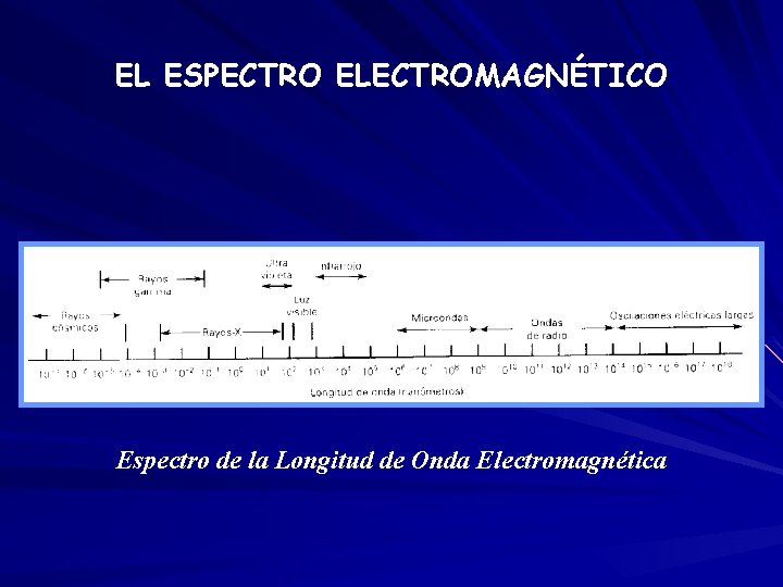 EL ESPECTRO ELECTROMAGNÉTICO Espectro de la Longitud de Onda Electromagnética 