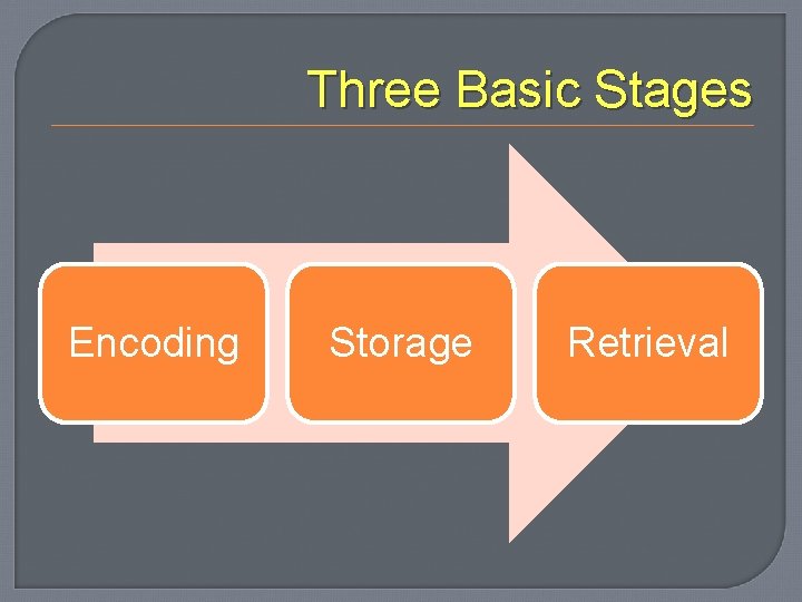 Three Basic Stages Encoding Storage Retrieval 