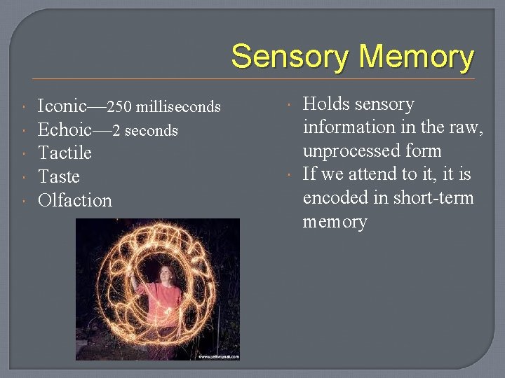 Sensory Memory Iconic— 250 milliseconds Echoic— 2 seconds Tactile Taste Olfaction Holds sensory information