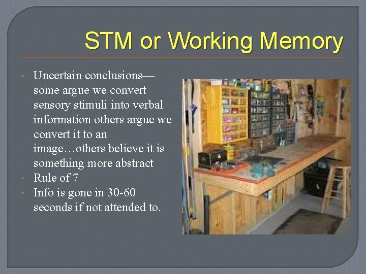 STM or Working Memory Uncertain conclusions— some argue we convert sensory stimuli into verbal